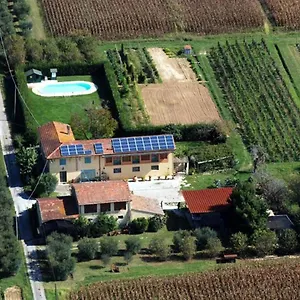 https://il-chicco-doro.it-tuscanyhotel.com